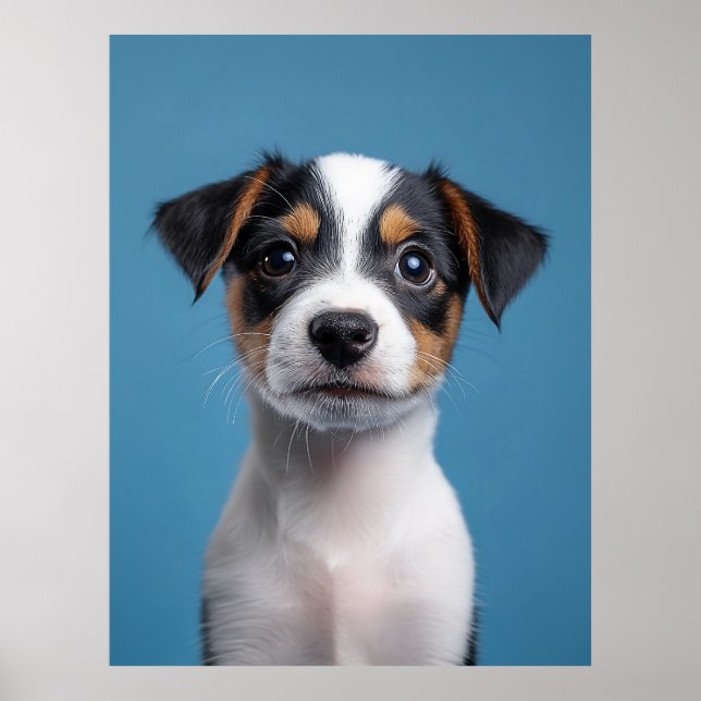 Adorable Jack Russell Terrier Puppy Portrait Poster (Front)