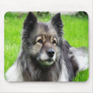 Adorable Keeshond Mouse Pad