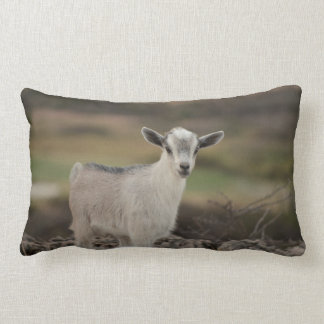 Adorable Kid Goat Lumbar Cushion