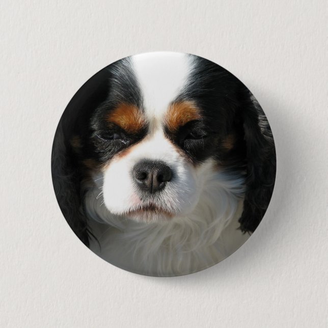Adorable King Charles Spaniel Button (Front)
