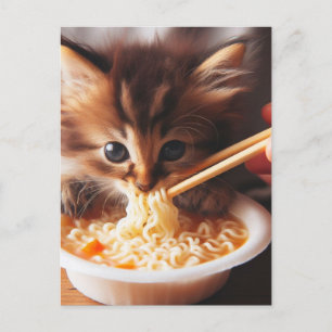 Adorable  Kitten Eating Noodles Postcard