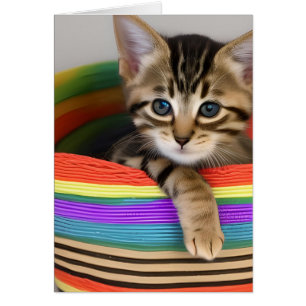Adorable Kitten in a Colourful Basket Blank Inside
