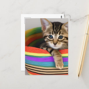 Adorable Kitten in a Colourful Basket Postcard