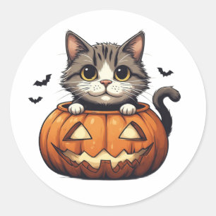 Adorable Kitten In Jack O Lantern Theme 🎃 Classic Round Sticker