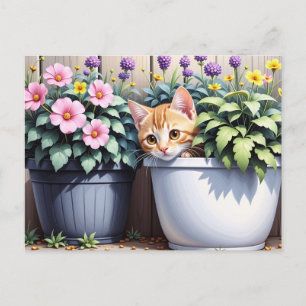 Adorable Kitten Peeking Out from Flower Pots Postcard