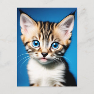 Adorable Kitten Portrait with Beautiful Blue Eyes Postcard