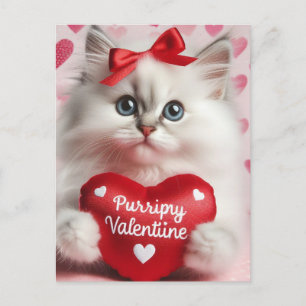Adorable Kitten Valentine Postcard