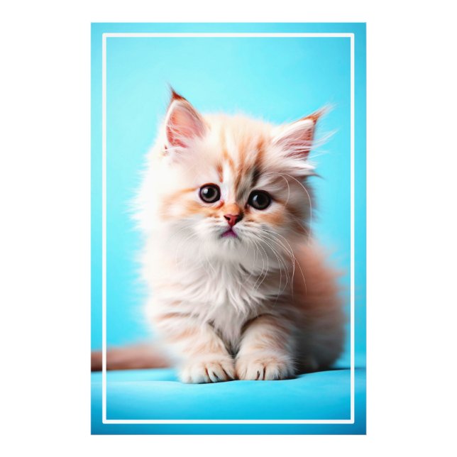 Adorable Kitten with Blue Background Photo Print (Front)