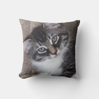 Adorable Kittens 2-Sided Pillow