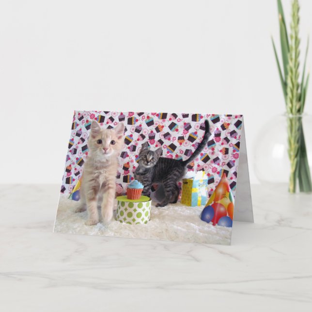 Adorable Kittens - Cat / Kitten  Birthday Card (Front)