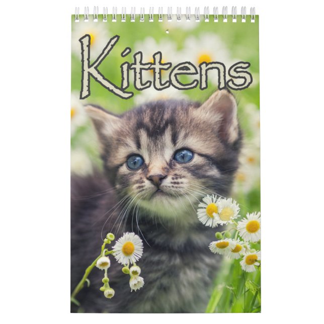 Adorable Kittens & Heartwarming Sayings Large Wall Calendar (Cover)