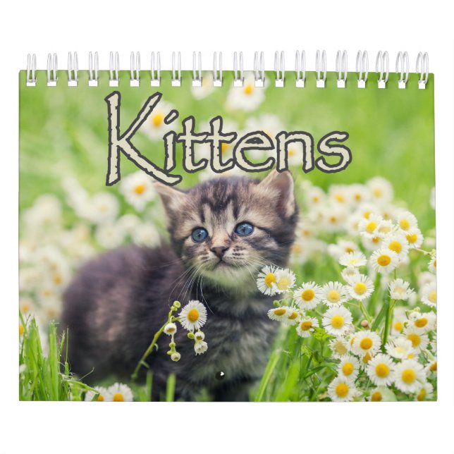 Adorable Kittens & Heartwarming Sayings Wall Calendar (Cover)