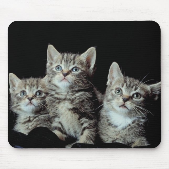 Adorable Kittens Mouse Pad (Front)