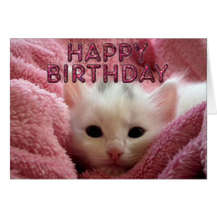 Adorable kitty stay warm