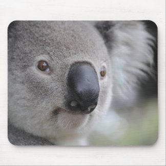 Adorable Koala Bear Mouse Pad