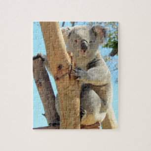 Adorable Koala Puzzle