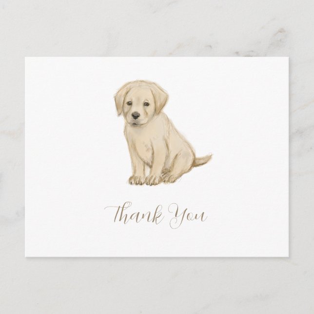 Adorable labrador puppy sketch postcard (Front)