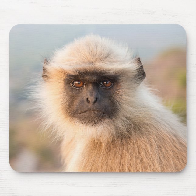 Adorable Langurs Presbytis Entellus Mouse Pad (Front)