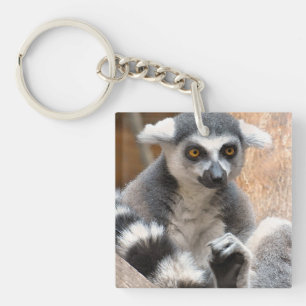 Adorable Lemur Key Ring