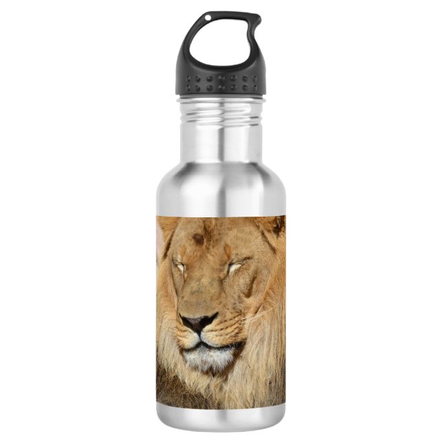Adorable Lion 532 Ml Water Bottle (Front)