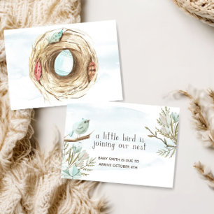 Adorable Little Bird Baby Pregnancy Announcement