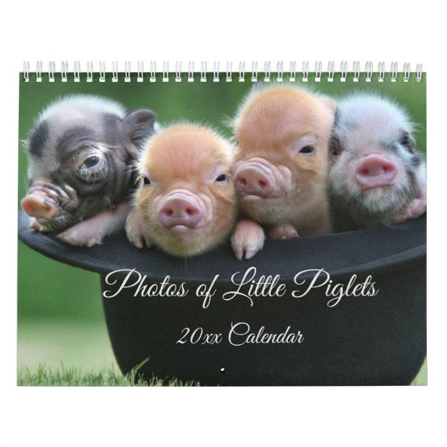 Adorable Little Piglets in a Black Hat Calendar (Cover)