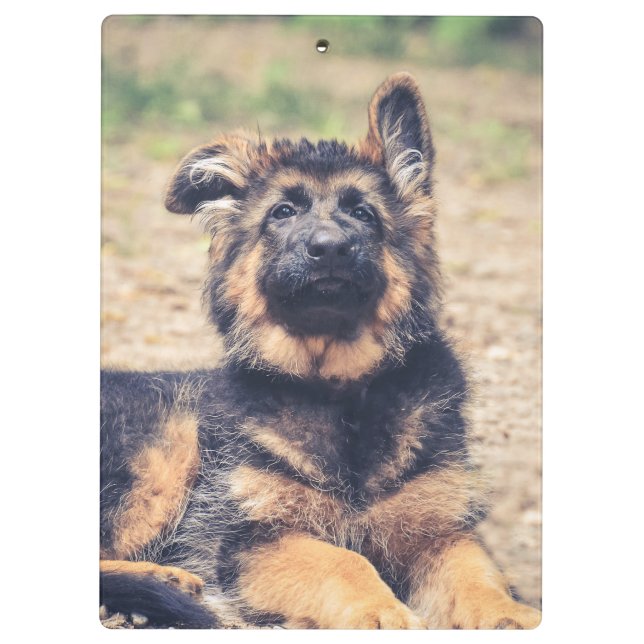 Adorable Long Haired German Shepherd Puppy Clipboard (Back)