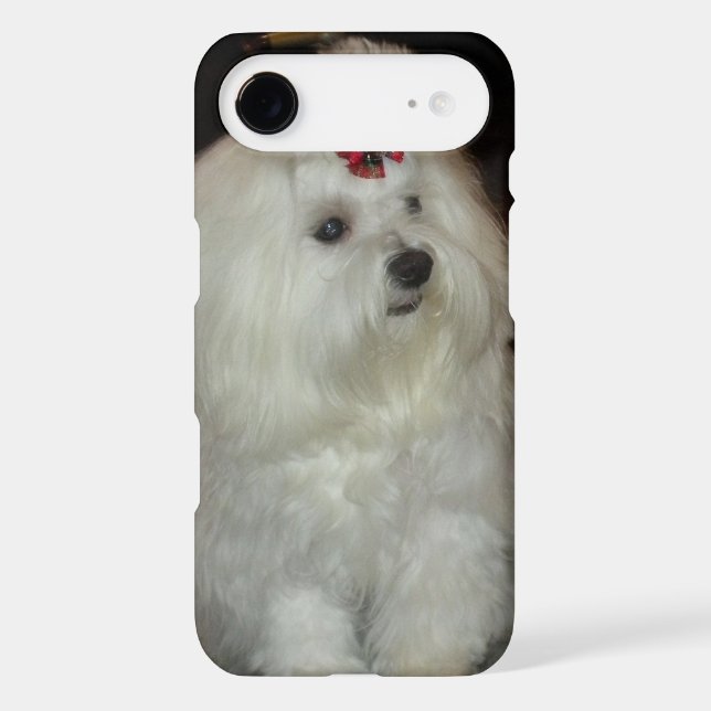 Adorable Maltese Dog iPod Touch Case (Back)
