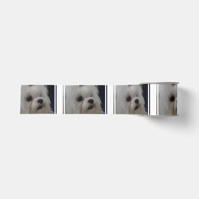 Adorable Maltese Grosgrain Ribbon (Front)