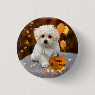 Adorable maltese puppy celebrates Halloween 3 Cm Round Badge
