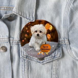 Adorable maltese puppy celebrates Halloween Button
