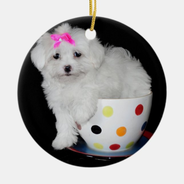 Adorable Maltese Puppy Ceramic Tree Decoration (Front)