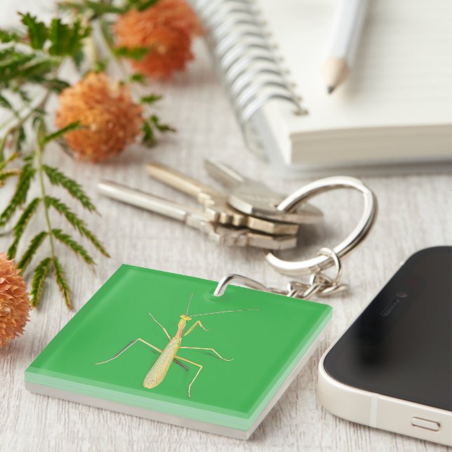 Adorable Mantis  Key Ring (Front Right)