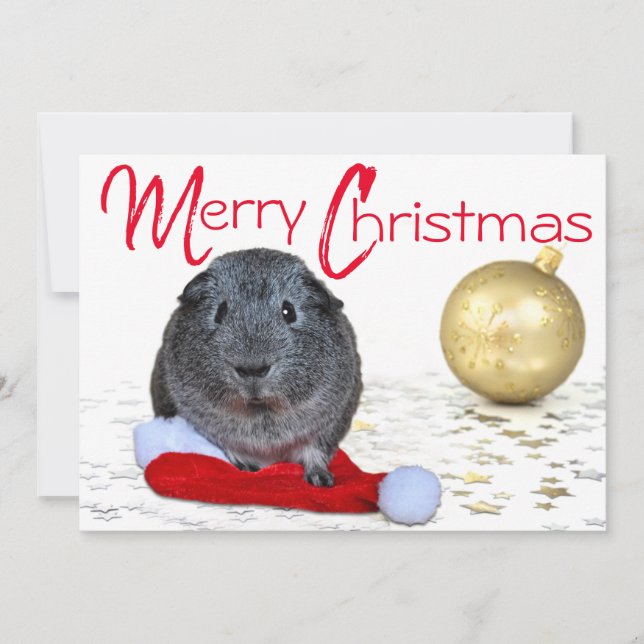 Adorable Merry Christmas Guinea Pig Gold Ornament Holiday Card (Front)