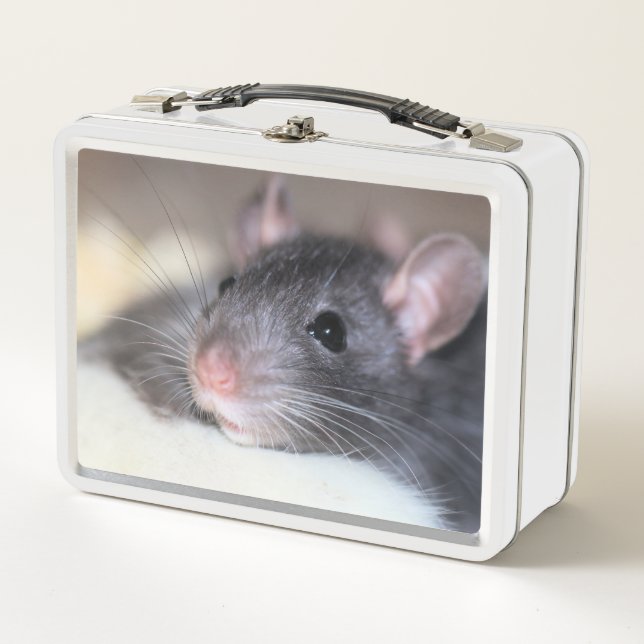 Adorable Metal Lunch Box (Front)