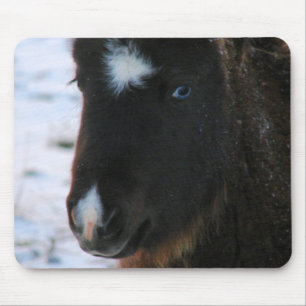 Adorable Mini Horse Filly Mouse Pad