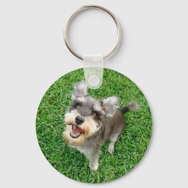Adorable Miniature Schnauzer Ready to Play Key Ring (Front)