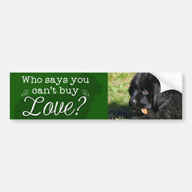 Adorable Newfie Bumper Sticker! Sticker (Front)