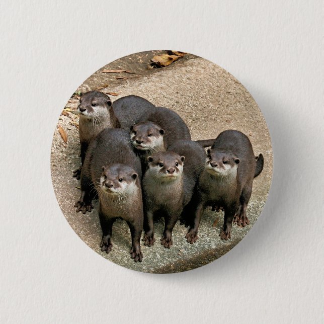 Adorable Otter Family 6 Cm Round Badge (Front)