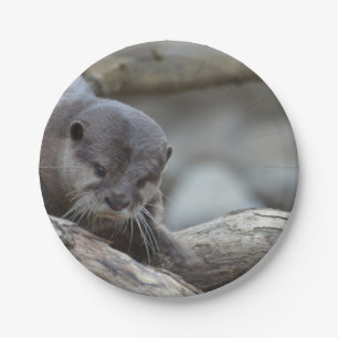 Adorable Otter Paper Plate