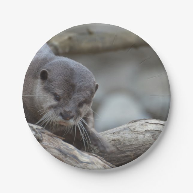 Adorable Otter Paper Plate (Front)
