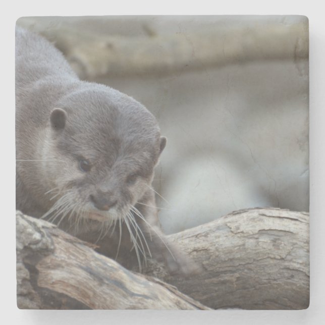 Adorable Otter Stone Coaster (Front)