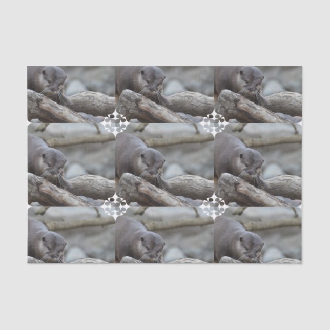 Adorable Otter Tissue Paper (Front)