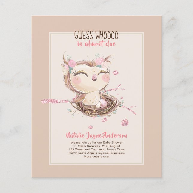 Adorable OWL Baby Shower Girls or Boys Invitation Flyer (Front)
