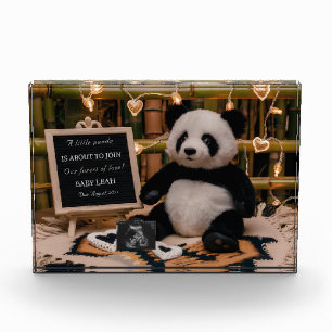 Adorable Panda Plushie  Pregnancy Announcement Photo Block