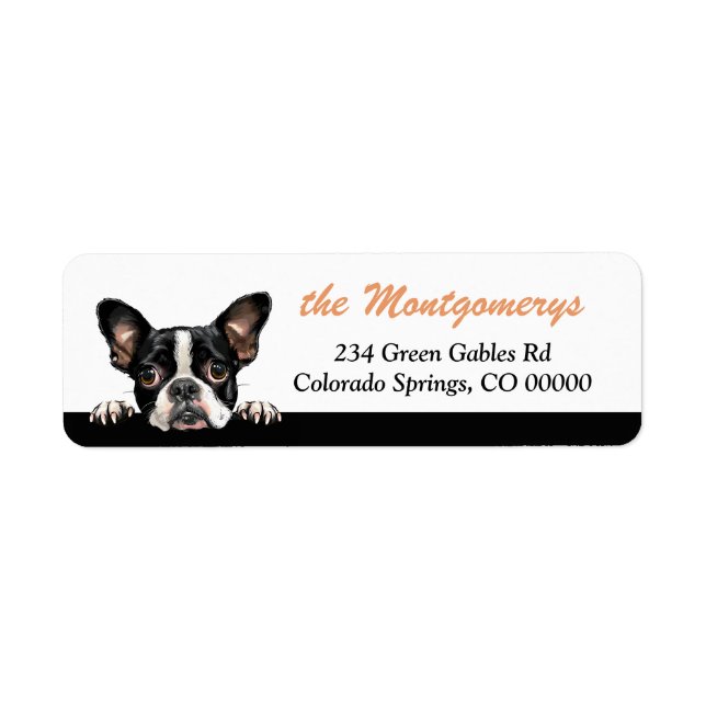 Adorable Peeking Boston Terrier Dog Return Address (Front)