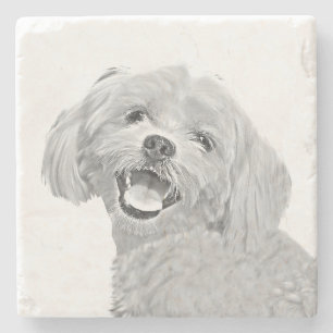 Adorable Pencil Maltese Dog Marble Stone Coaster