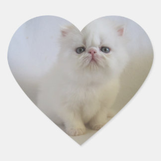 adorable persian heart stickers