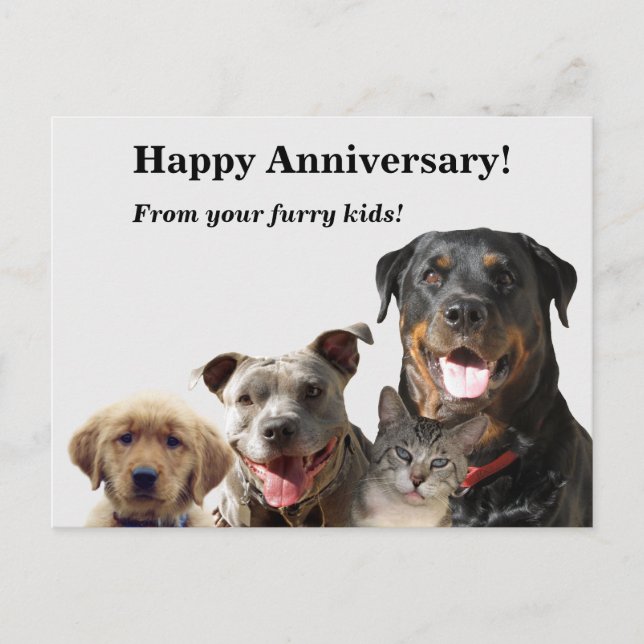 Adorable Pets Anniversary Postcard (Front)