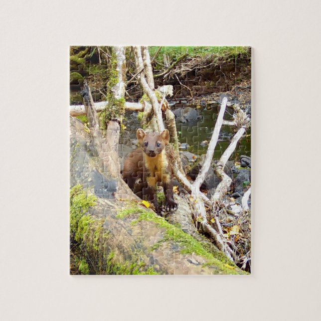 Adorable Pine Marten Forest Animal Nature Photo Jigsaw Puzzle (Vertical)